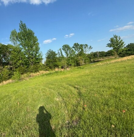 - Hwy 64, Ben Wheeler, TX 75754