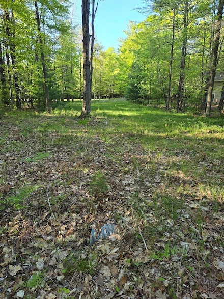 Lot 5 & 14 N Ridge Rd, Mears, MI 49436