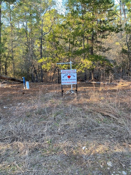344 Pine View, La Grange, TX 78945