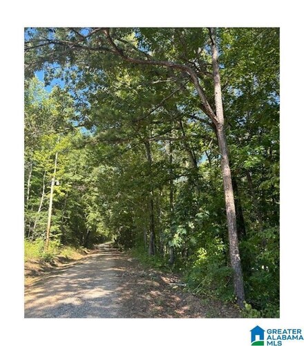 000 County Road 834, Wadley, AL 36276