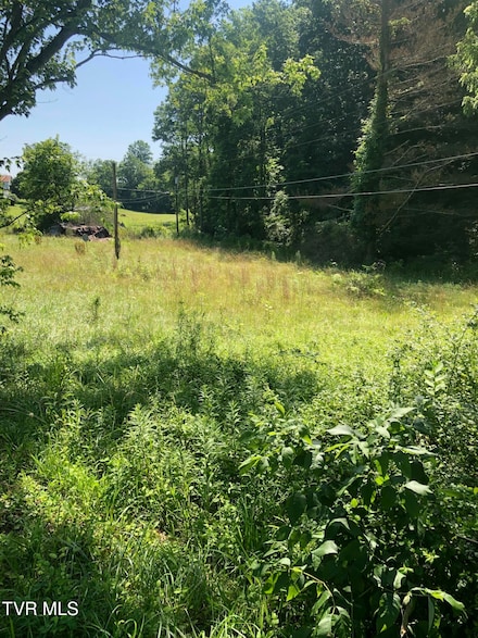 467 Oak Glen Cir, Fall Branch, TN 37656