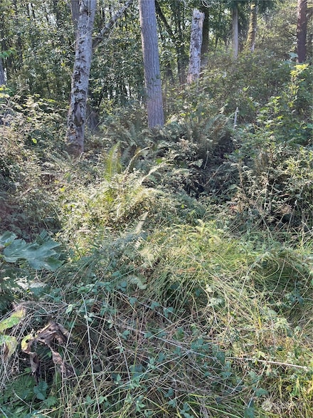 52 xx E Harbor Rd, Freeland, WA 98249