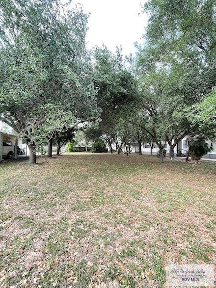 15757 Palm Vista Dr, Harlingen, TX 78552