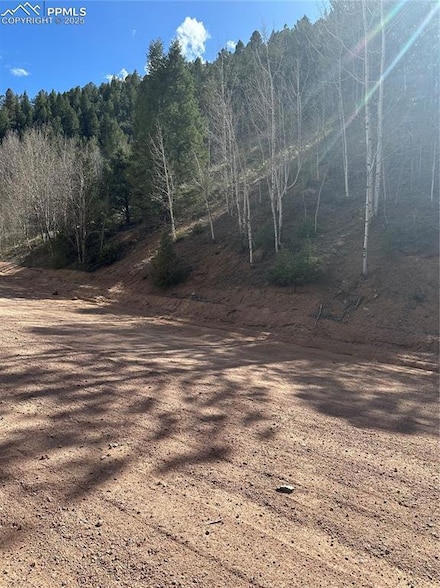 0 County Road 61 Unit 9321658, Divide, CO 80814