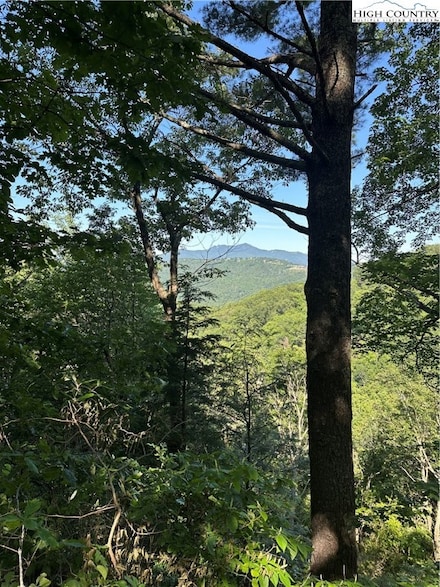 Lot 43 Quail Hollow Dr, Blowing Rock, NC 28605