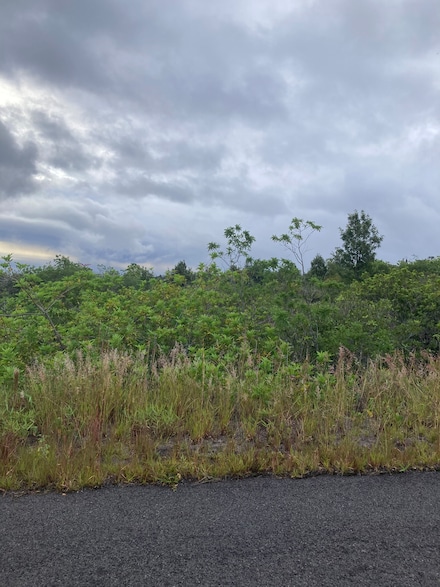 0 Bamboo Ln Unit 715551, Ocean View, HI 96704