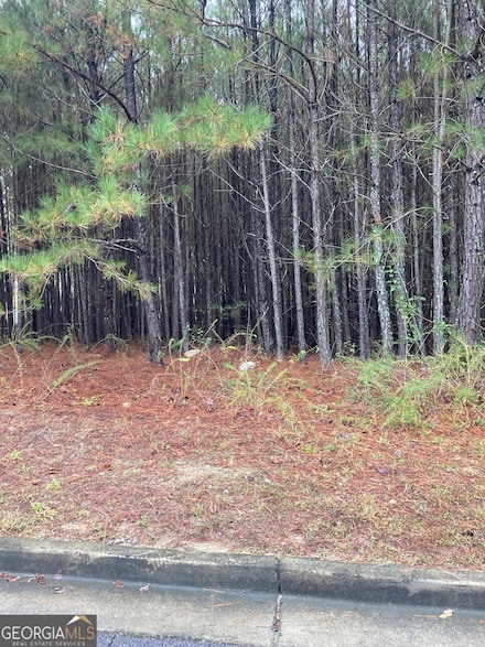 1148 Falkirk Ln, Stone Mountain, GA 30087