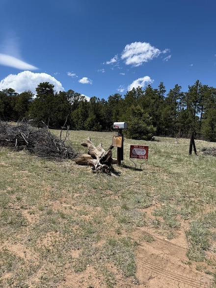 1713 7th Trail, Texas Creek, CO 81223
