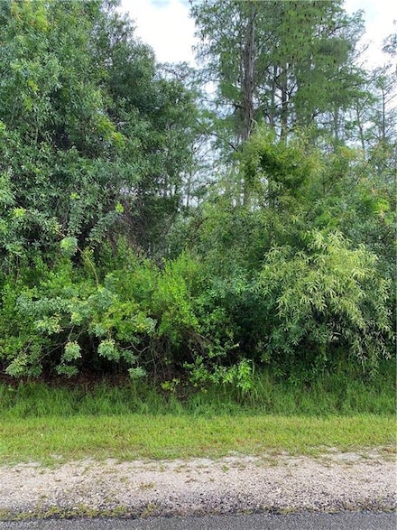 0 16th St NE Unit 222033417, Naples, FL 34117