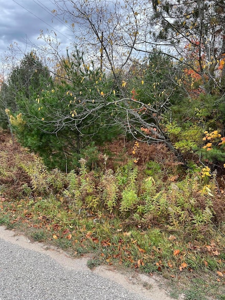 LOT 15 Sherry Lynn Dr, Engadine, MI 49827