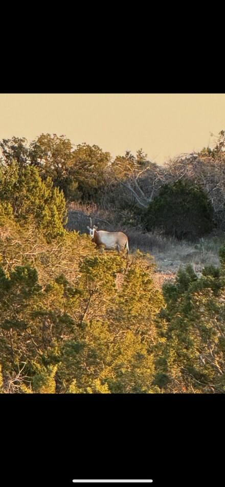 13812 High Lonesome Rd, Laughlin Air Force Base, TX 78840