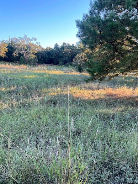 19661 Dove Ridge Dr, Lindale, TX 75771