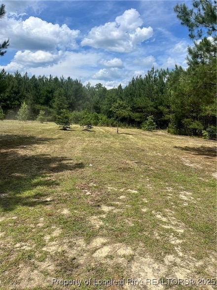 0 Lee Unit 744937, Gibson, NC 28343