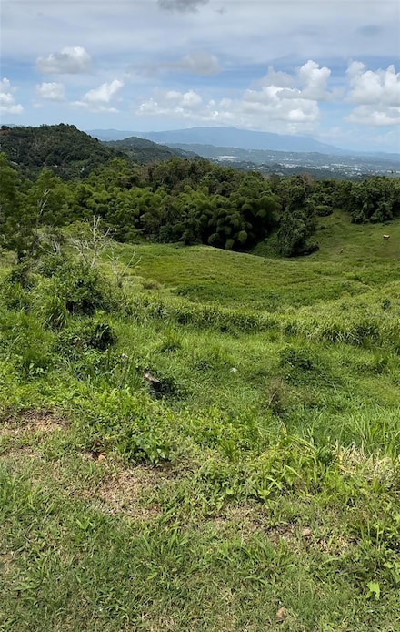 Bo. Quemados Carr 7788 Km Hm 2, San Lorenzo, PR 00754