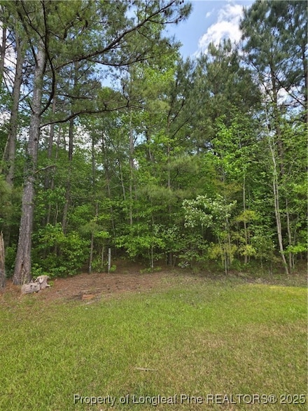 0 Fire Tower Ln, Raeford, NC 28376