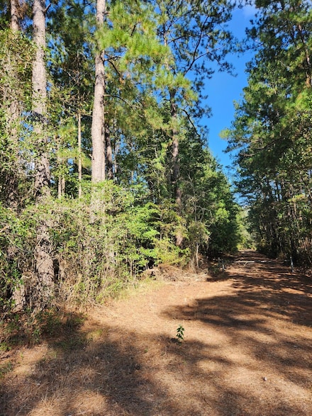 000 Johnson Rd, Lumberton, MS 39455