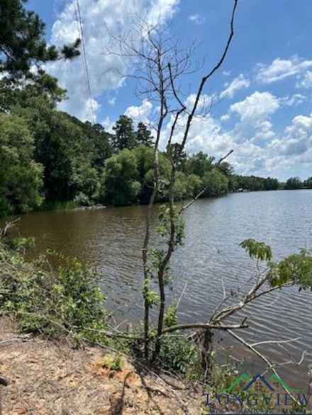 TBD E Lake Devernia Rd Unit aka Lot 65, Clarksville City, TX 75604