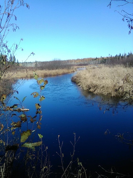 913 Skedgell Rd, South Aroostook, ME 04471