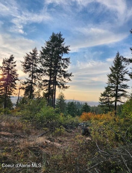 199 Bremerman Ln, Plummer, ID 83851