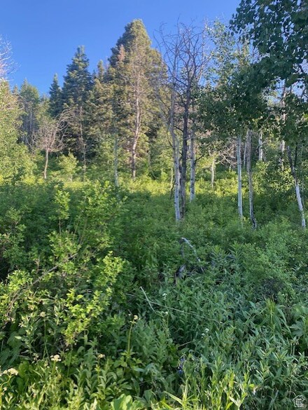 969 W Deep Forest Rd Unit D155, Wanship, UT 84017