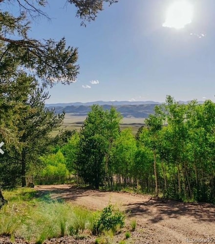 1225 Caracara Ln, Como, CO 80456