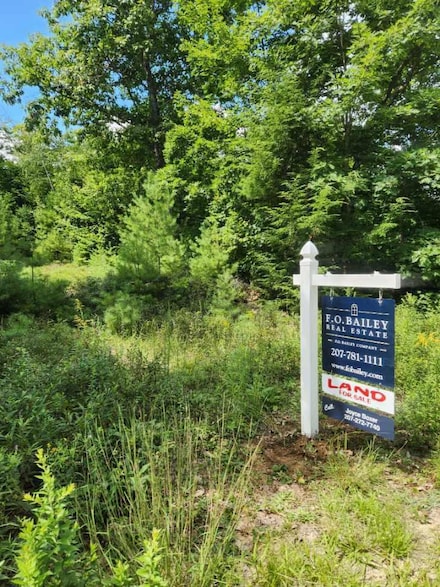 Lot 31 Weeman Rd, Naples, ME 04055