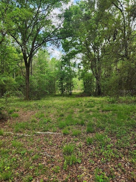 4611 NW 244 Ave, Alachua, FL 32615