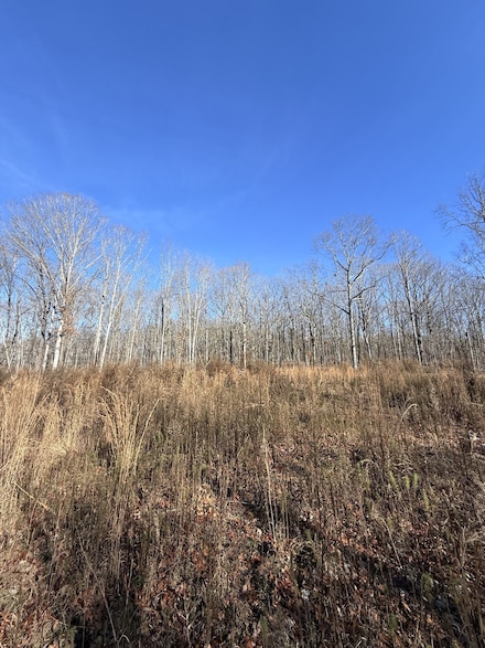 0 Deerwood Dr Unit RTC3060905, Sewanee, TN 37375