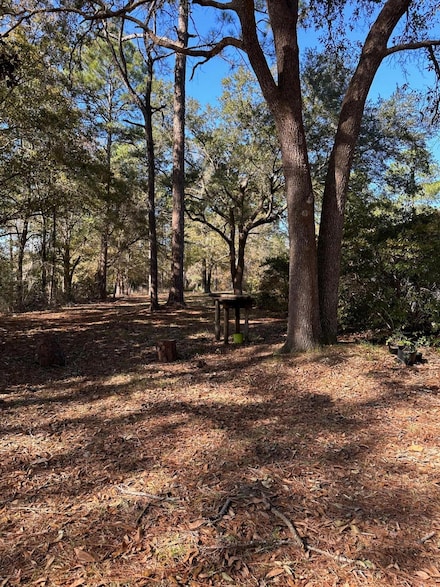 TBD Pope St, Freeport, FL 32439