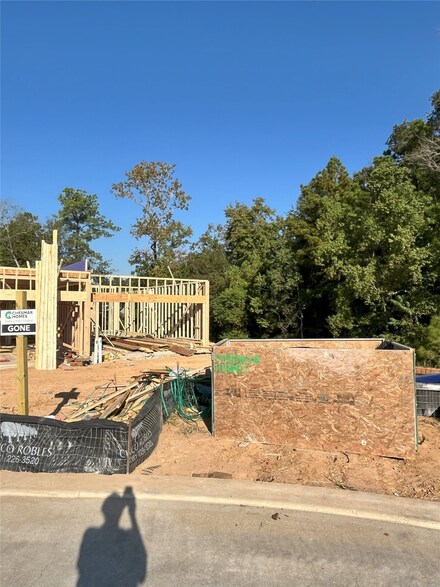 223 Cider Gum Place, Montgomery, TX 77316