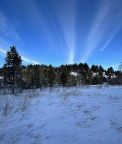 Nhn 27 A Olson Gulch Rd, Anaconda, MT 59711