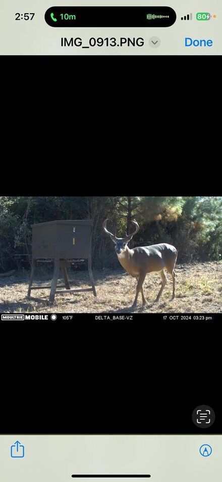 . Easley Rd, Magnolia, MS 39652