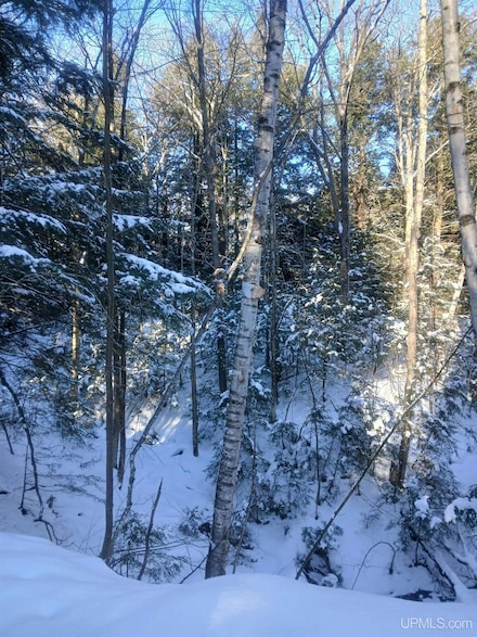 40 Acres Rd, Big Bay, MI 49808