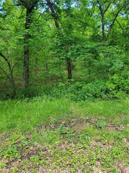 66 Pecan Ct, Linn Valley, KS 66040