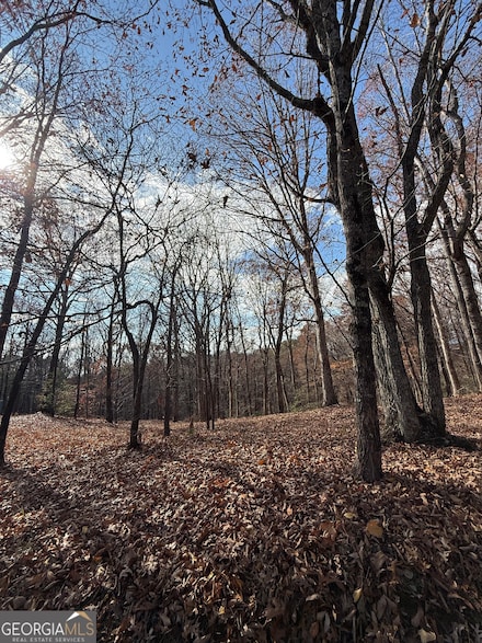 0 Orchard Rd Unit 10643331, Jasper, GA 30143