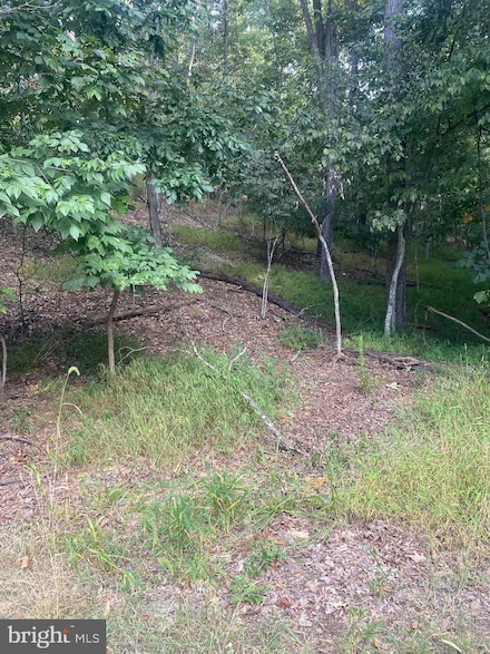 1116 Lakeview Dr, Cross Junction, VA 22625