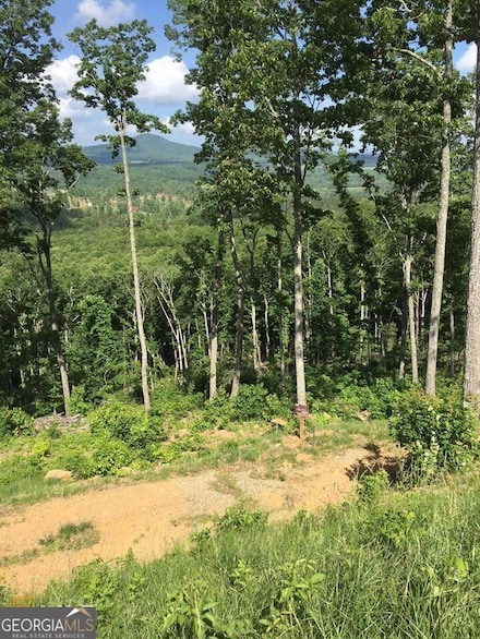 0 Ridge Pointe Way Unit 369 10435339, Blairsville, GA 30512