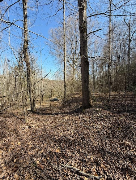 TBD Royal Oaks Trail, Brasstown, NC 28902