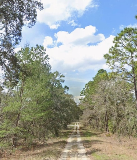 0 SW 95th Place, Dunnellon, FL 34431