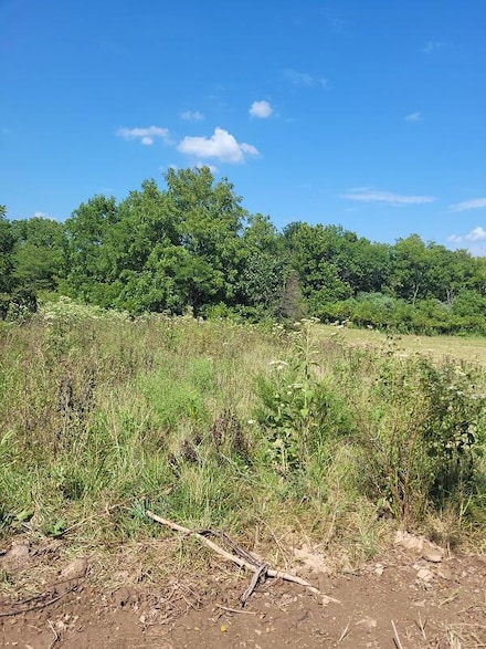 Tbd Tr 2 N Farm Rd 215, Fair Grove, MO 65648