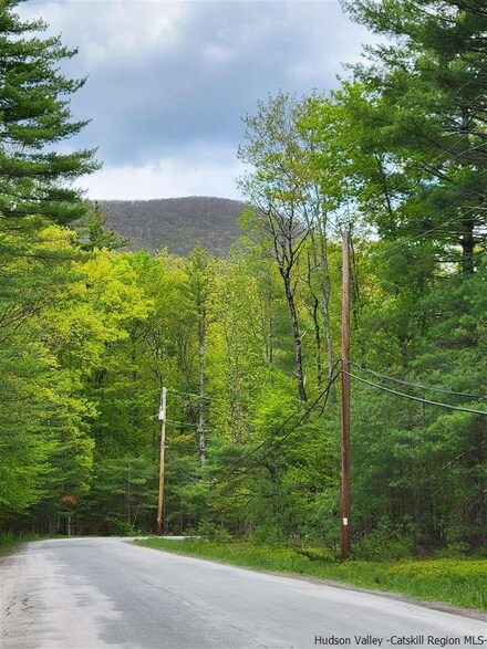 TBD Lots 19-20 Grog Kill Rd, Woodstock, NY 12495