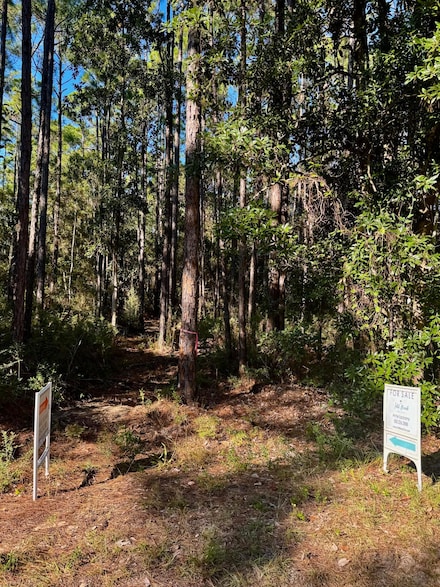 Lot 12 S 14th St, Santa Rosa Beach, FL 32459