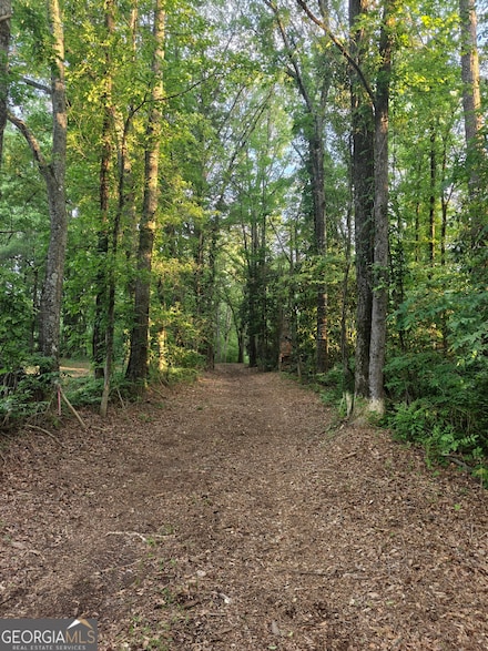 0 Quick Dr Unit 10542821, Senoia, GA 30276