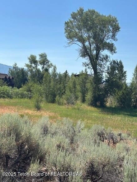1121 Rainbow Loop, Driggs, ID 83422