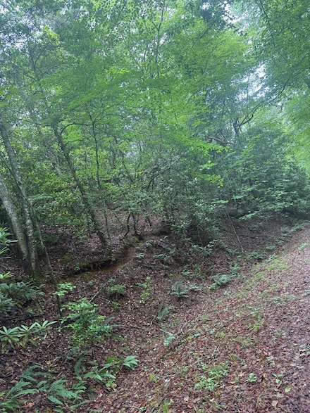 0 Willow Pond Rd Unit 26041420, Franklin, NC 28734