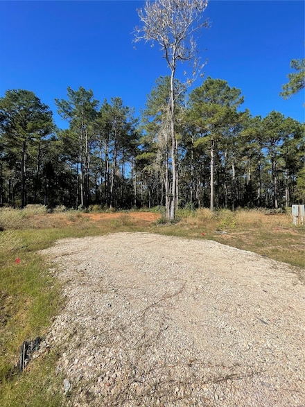 11303 Annie Creek Dr, Willis, TX 77378