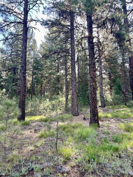 Lot 20 Meadow Dr, New Meadows, ID 83654