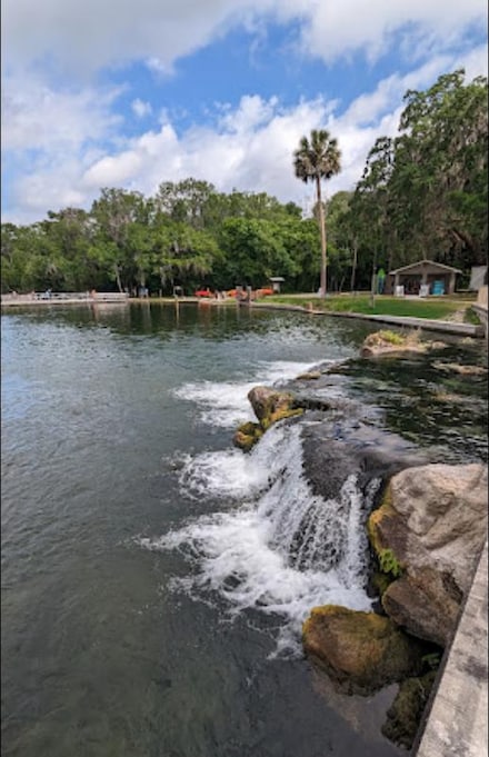 144 Forest St, Georgetown, FL 32139