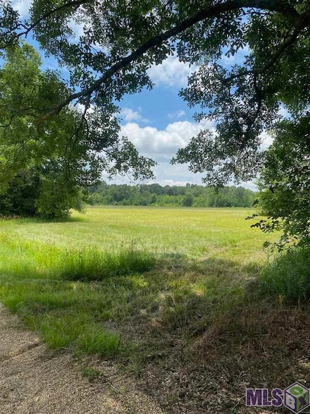 8384 Zachary-Deerford Rd, Zachary, LA 70791