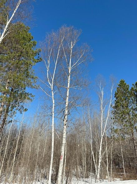 ON Spring Creek Dr Unit 4080-7, Tomahawk, WI 54487
